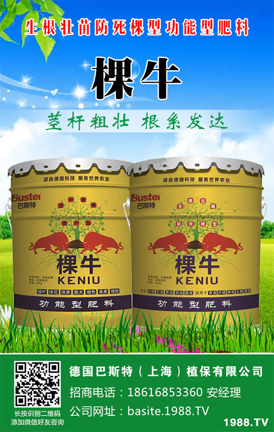 ���[���ʩ�������[�ƌW������ʩ�ʷ�����