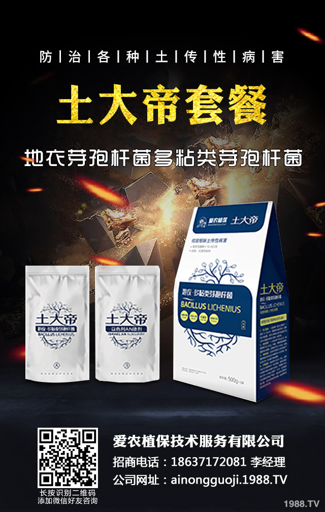 �ﲥС����ô����|(zh��)�����ﲥС������|(zh��)����Ҫ�c(di��n)