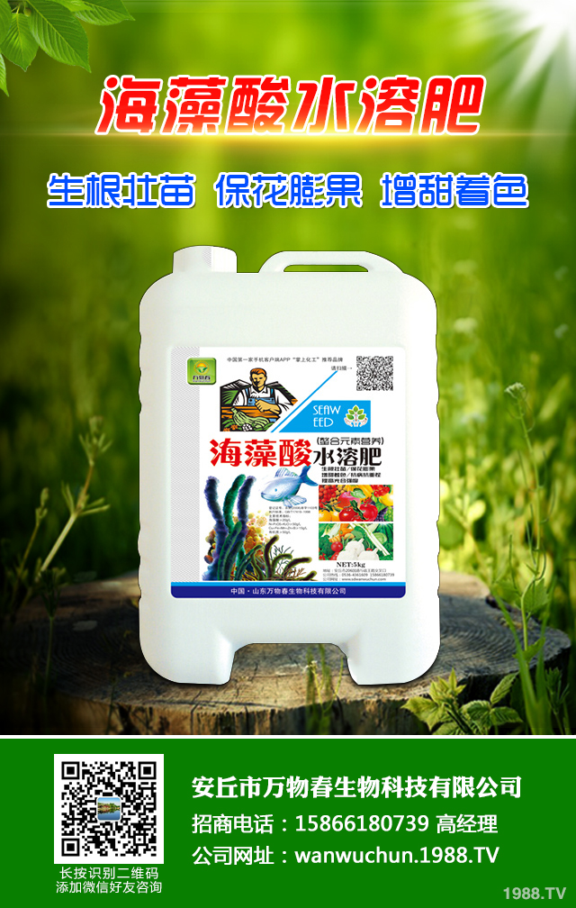 �ﲥС����ô����|(zh��)�����ﲥС������|(zh��)����Ҫ�c(di��n)