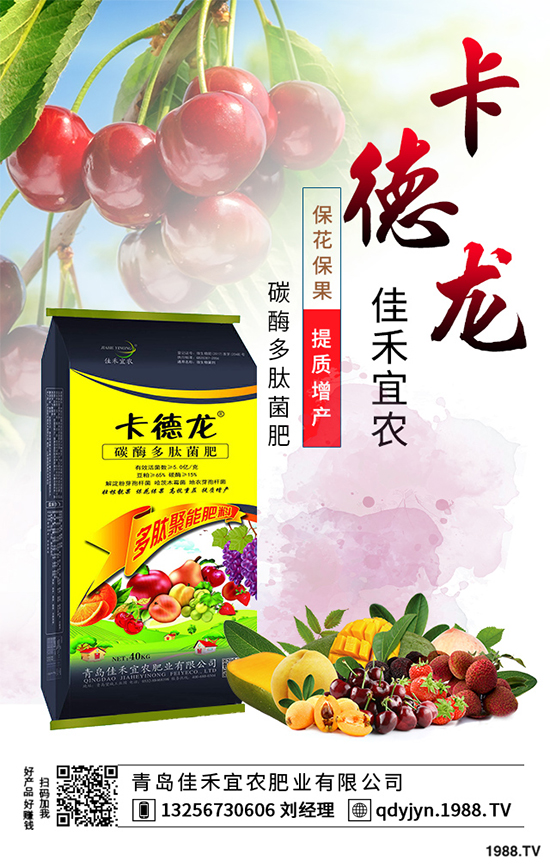 白菜不包心的原因？白菜結(jié)球包心期的管理要點
