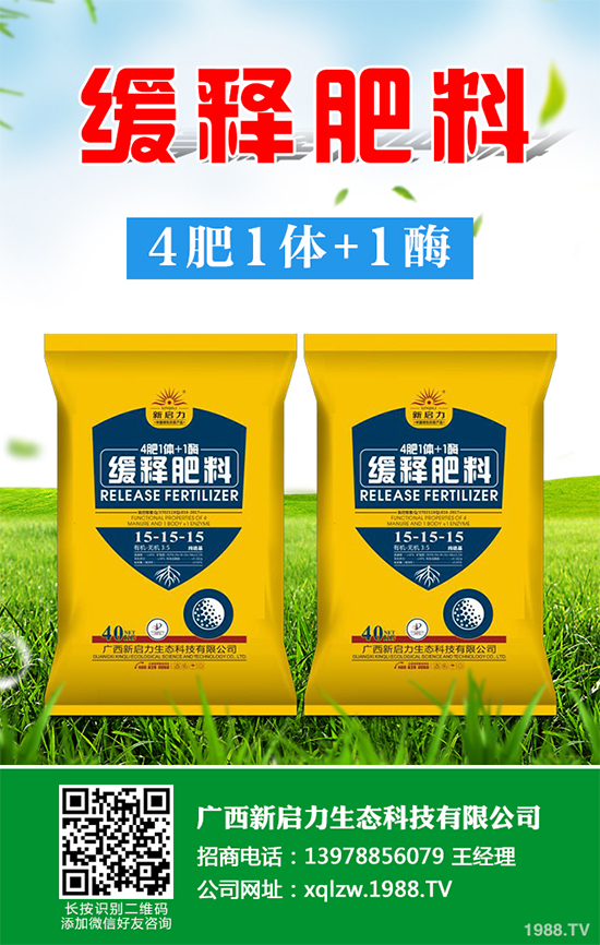 秋甘藍(lán)該怎么種植？秋甘藍(lán)高產(chǎn)種植技術(shù)