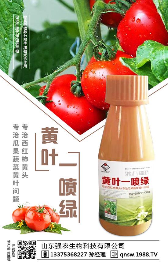 ���}�����N�r�g�����}���Nֲ��Ҫע����Щ�����