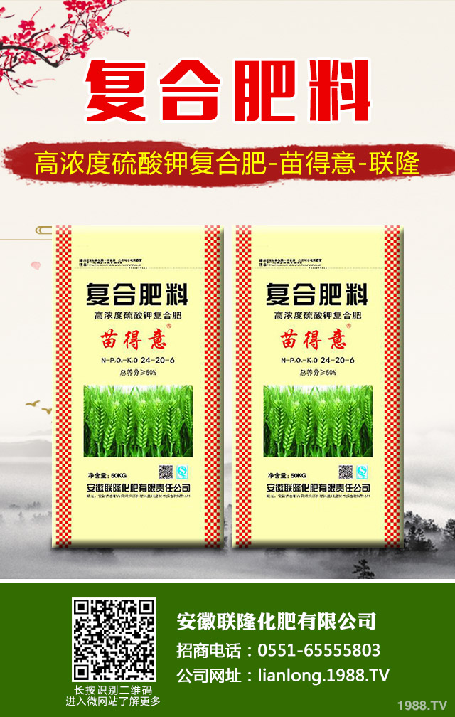 �K�F�~�S�݆�(w��n)�}��ô��Q���K�F�~�S�ݽ�Q����