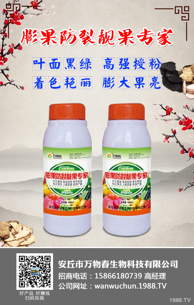 ����A(y��)����ݮ��������ݮ���η��μ���