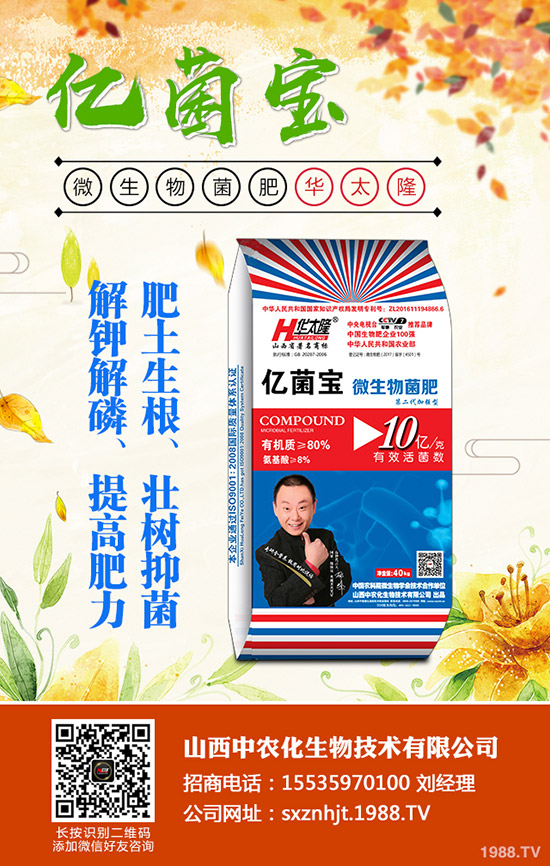     �M��9�����؃r�����{(di��o)�����������������߄ݷ���2019-9-5