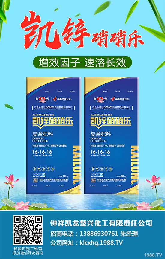     �n�ĺڰ߲�����ΰl(f��)����������ЩΣ�����n�ĺڰ߲����δ�ʩ