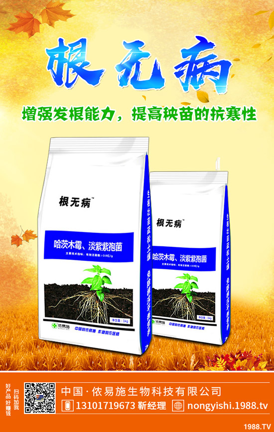     ��ˡ����[�����[�Nֲٍ�X�᣿��Ҋ�{(di��o)ζ���߲˷Nֲ����(r��n)������