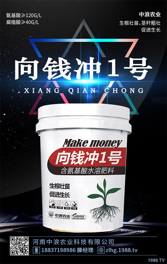 ¶�ؾ��Ĳ�ʲô�r(sh��)��Nֲ��¶�ؾ��Ĳ˷Nֲ���g(sh��)��ȫ