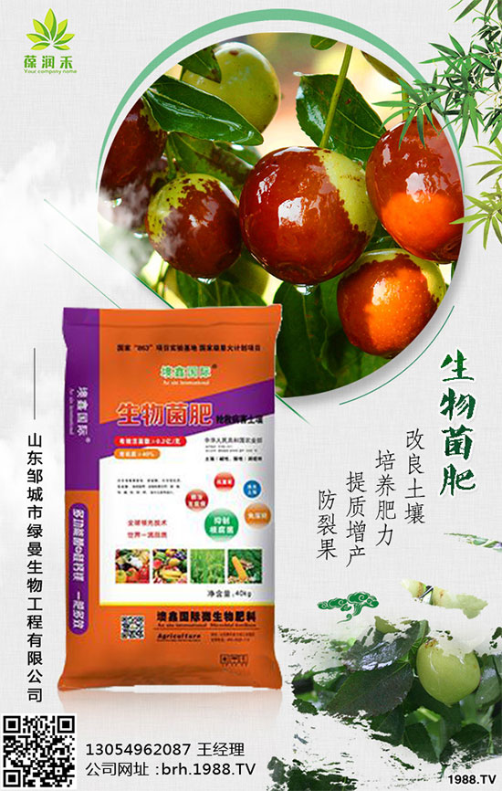 盆栽桑葚怎么種?桑葚盆栽的種植方法!