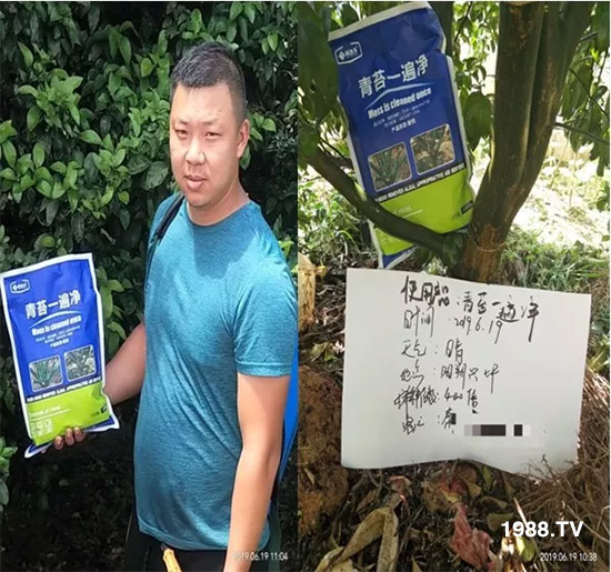 �������̦���������������Ƀ�����̦�oۙ��