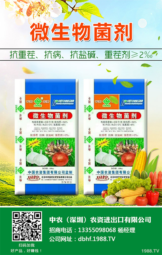 棉花怎么種植產(chǎn)量高？六大技巧讓你的棉花田輕松高產(chǎn)