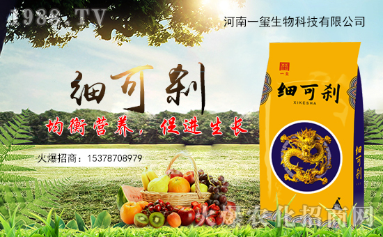 ������һ�t��ףȫ�����т������경��������ӭ���{�����f�����⣡