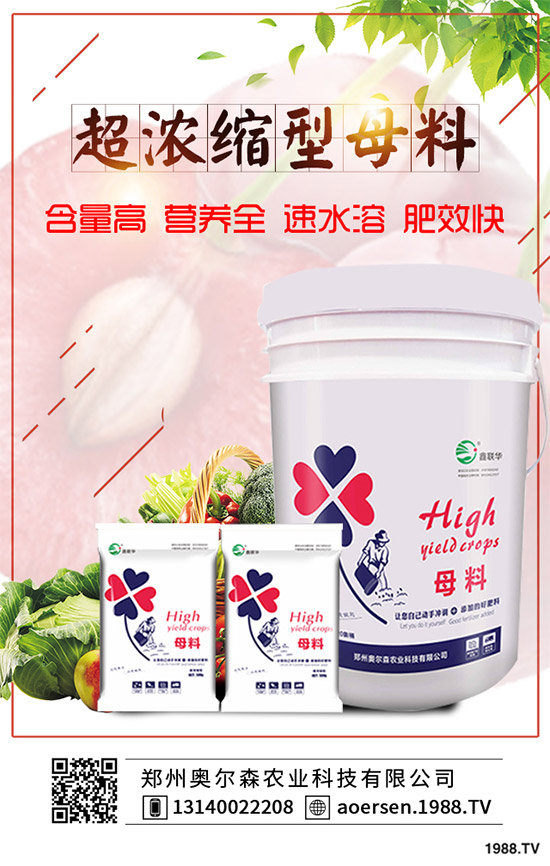 ���W��ɭ�r(n��ng)�I(y��)��ף������µ�һ�����Ҹ����M���H�Қg����