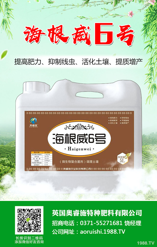 ���Ѵ������Ĩѿ������Ĩѿ������ע�����