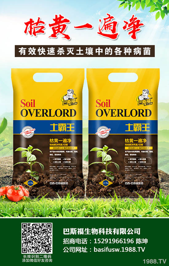 ���Sԓ��ηNֲ�����S�ĸ�Ч���༼�g(sh��)����Щ��