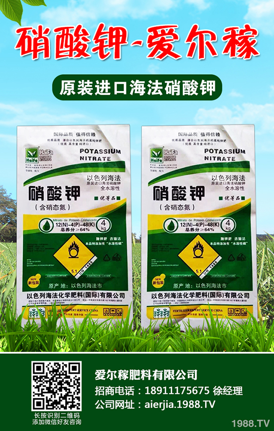 小蔥怎么種植產(chǎn)量高?小蔥的種植小技巧!