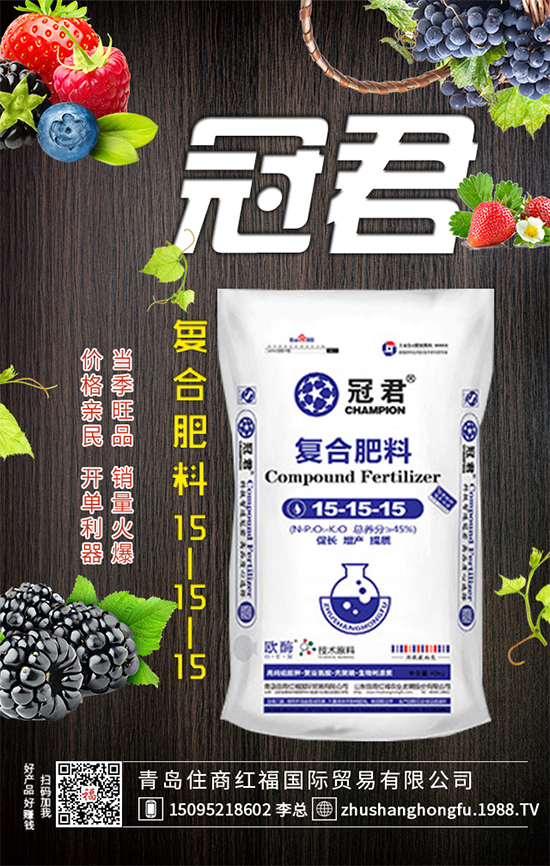 紫甘藍(lán)怎么管理？冬春茬紫甘藍(lán)種植管理要點(diǎn)！