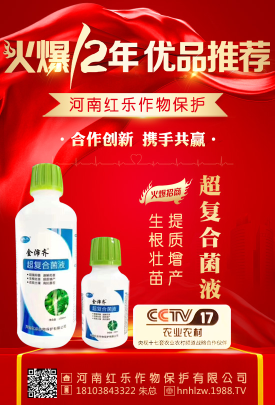 �����ϼt����ף������µ�һ��������󼪣��f��������