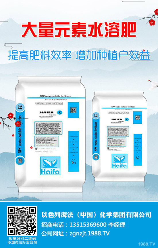     2020����(ji��)���g��⛷��������ݣ�1��31�ս���⛷ʃr�������