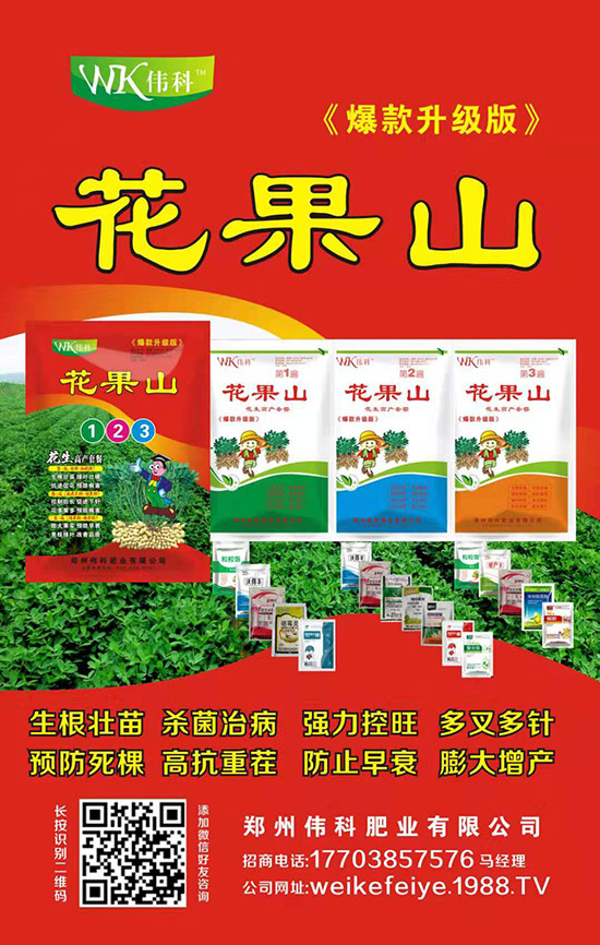 �����ƷʘI(y��)��ף�V�����т�����(ji��)�옷��ƽ���������Ҹ�������