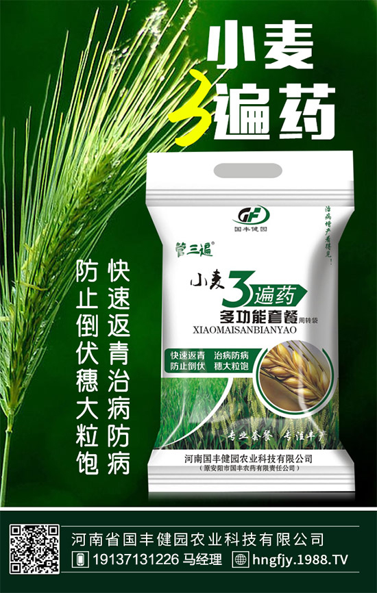 ����(gu��)�S���@��ף������µ�һ�������w�������f(w��n)��������