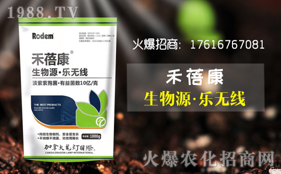 【壽光龍燈】祝全國(guó)朋友新年快樂(lè)!鼠年大吉!身體健康!財(cái)源廣進(jìn)!