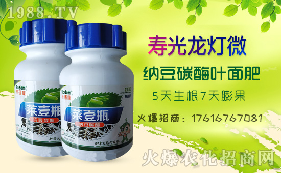 【壽光龍燈】祝全國(guó)朋友新年快樂(lè)!鼠年大吉!身體健康!財(cái)源廣進(jìn)!