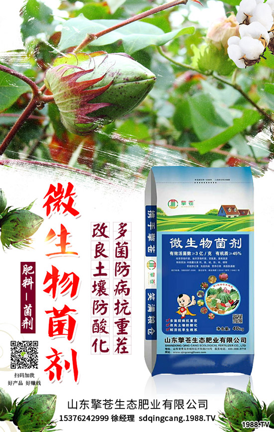     ����(ji��)���R��2020��1�������ܷ�ͦ�r�����������߄��A(y��)�y��