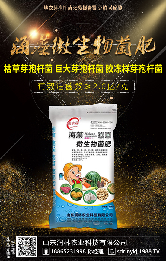 龍眼種植有三大要求，種植龍眼要考慮！