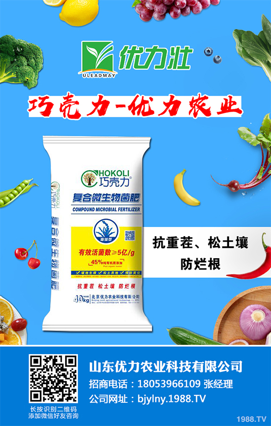 �۲�ܛ�������u������ԓ��η������۲�ܛ������Σ���c����