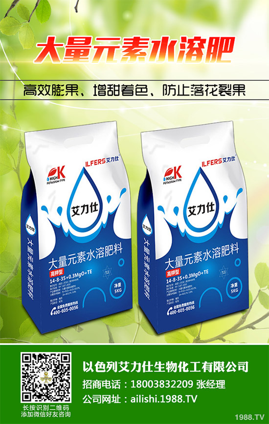 �۲˸���������ΰl(f��)������ԓ���ӷ�������������ɣ�