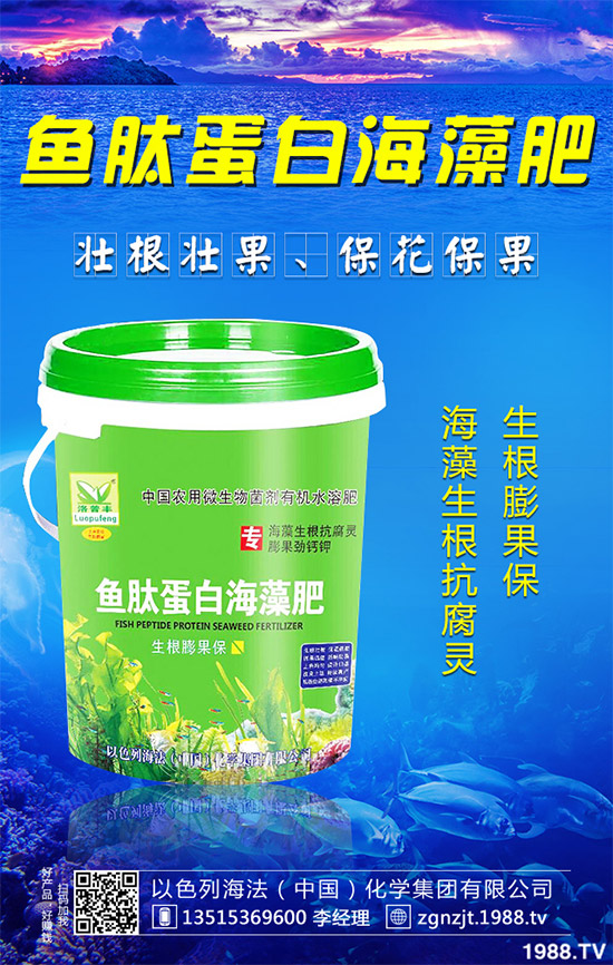 �۲˲���������ЩΣ����ԓ��η������۲˲�������Σ���c����