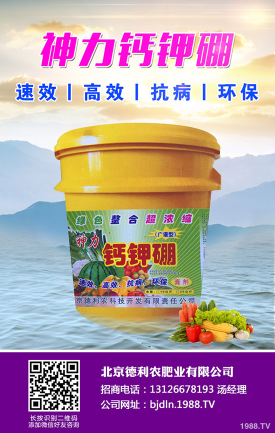 2020�괺��(ji��)ǰ⛷ʃr(ji��)���ϝq������2020-1-17��⛷������߄ݷ�����