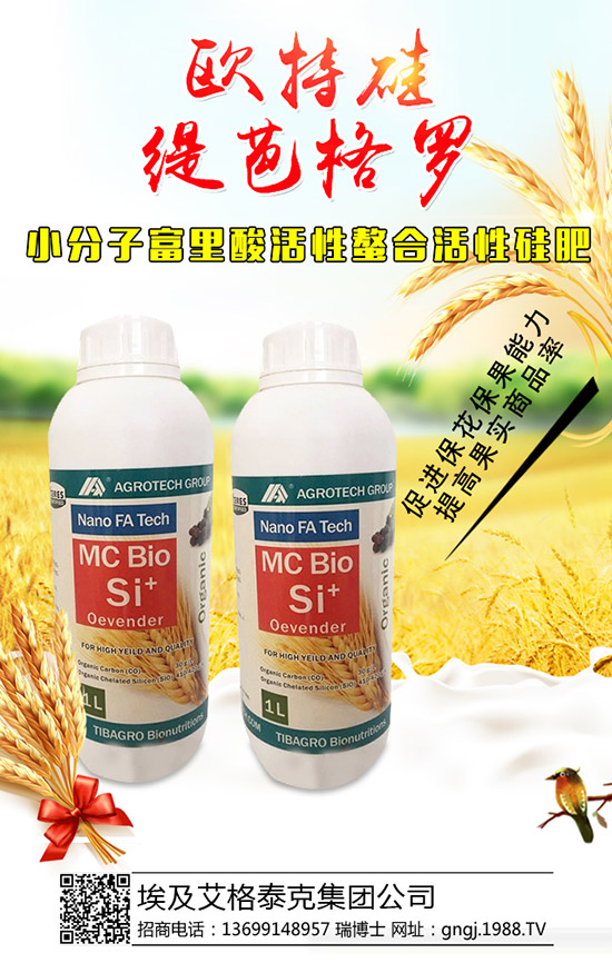 ���������Y(ji��)��������ô�������������������������