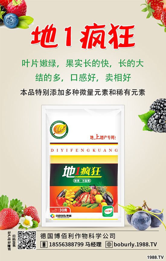 �����仨�����ʲôԭ������������������ʩ��