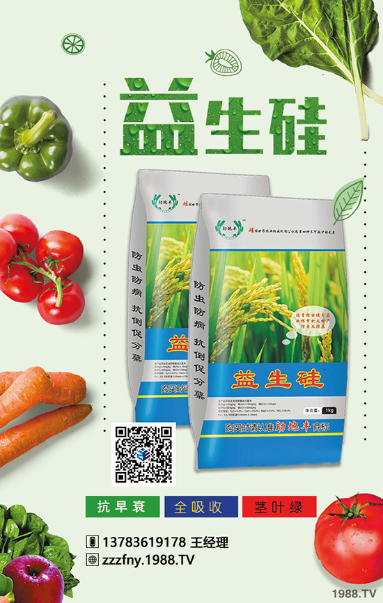 如何科學(xué)合理對(duì)生菜進(jìn)行施肥?生菜科學(xué)施肥技術(shù)