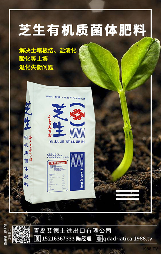 櫻桃有哪些營養(yǎng)價值，櫻桃的功效與作用是什么，如何選購？