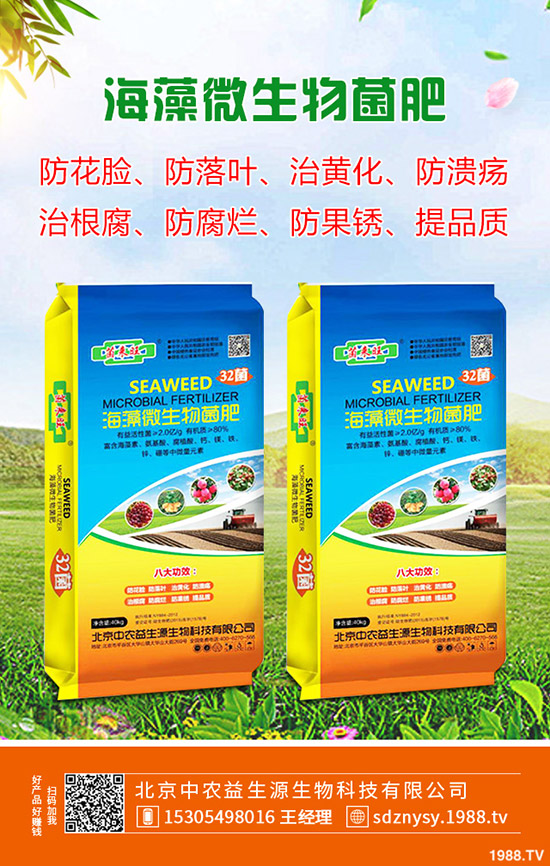 2020春季種植馬鈴薯技術(shù)要點(diǎn)!如何催芽?注意事項(xiàng)有哪些?