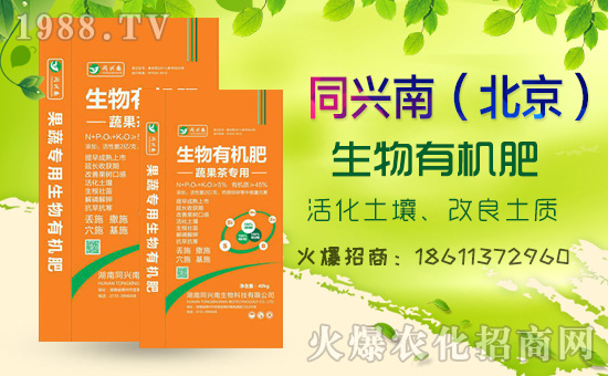     2020⛷ʃr���߄���������������߄��A(y��)�y��