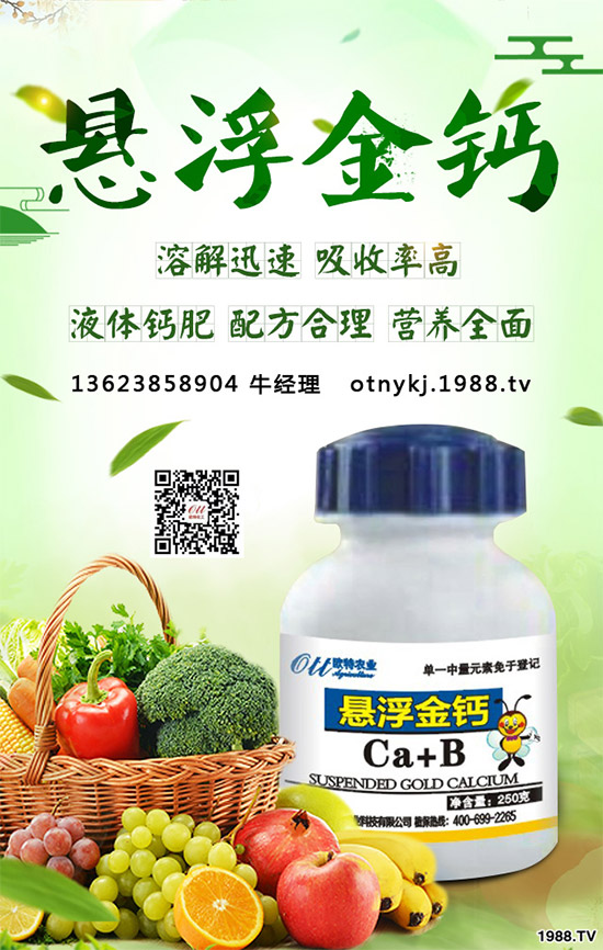 紅藤有哪些神奇功效？紅藤的功效作用及禁忌人群