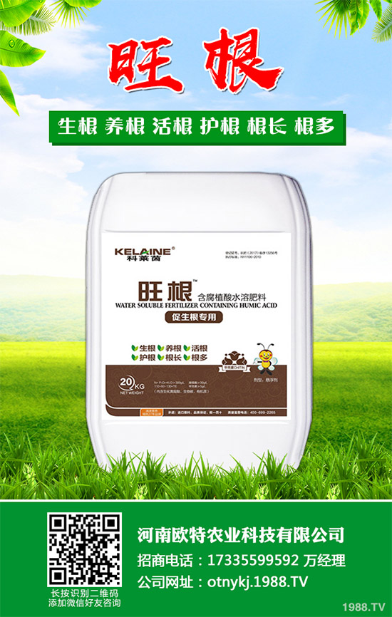 紅藤有哪些神奇功效？紅藤的功效作用及禁忌人群