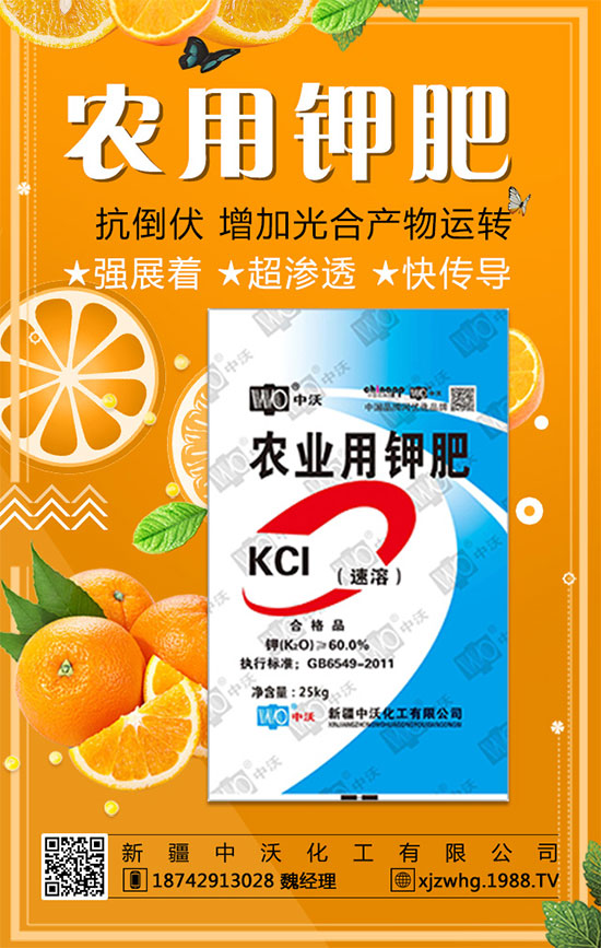 ���½����ֻ�������ף������������옷�����꼪�飡2020�L�LؔԴ��