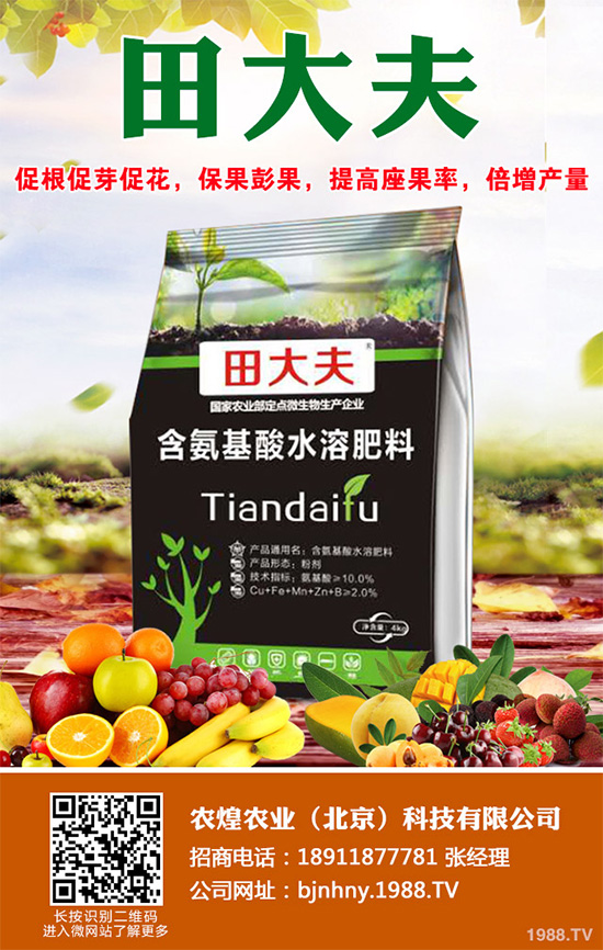 �Nֲʲôˮ����ٍ�X��2020��ˮ���Nֲָ��