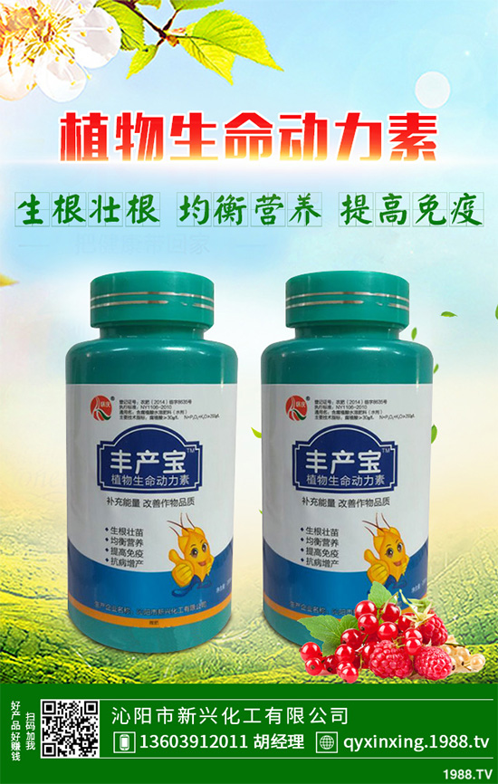 ���Ӳ��ܷN�ô�ײ�����ײ˸߮a(ch��n)�Nֲ���g(sh��)Ҫ�c