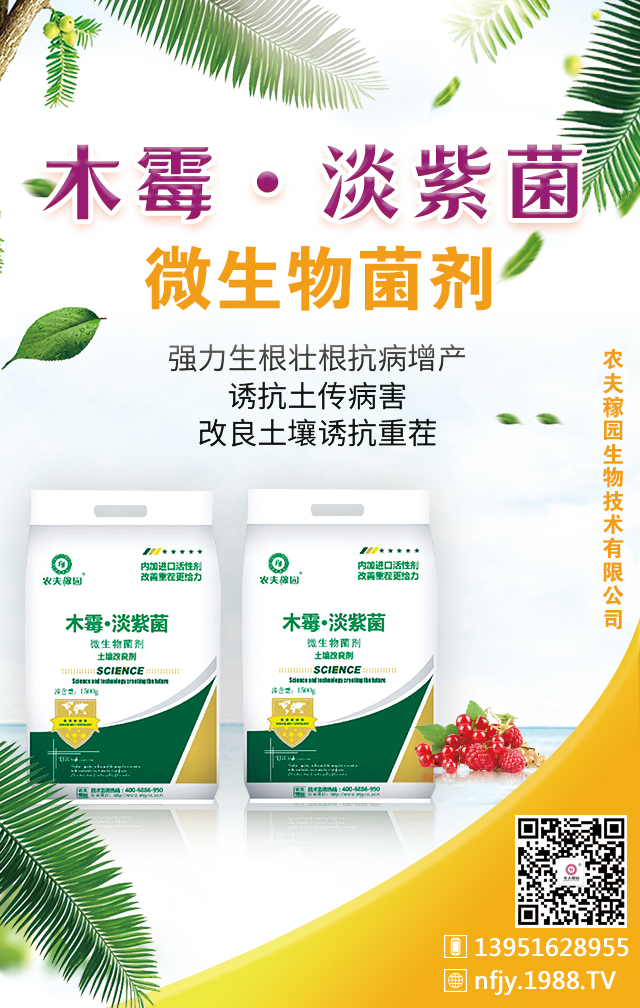 �r��ڈ@���＼�g���޹�˾