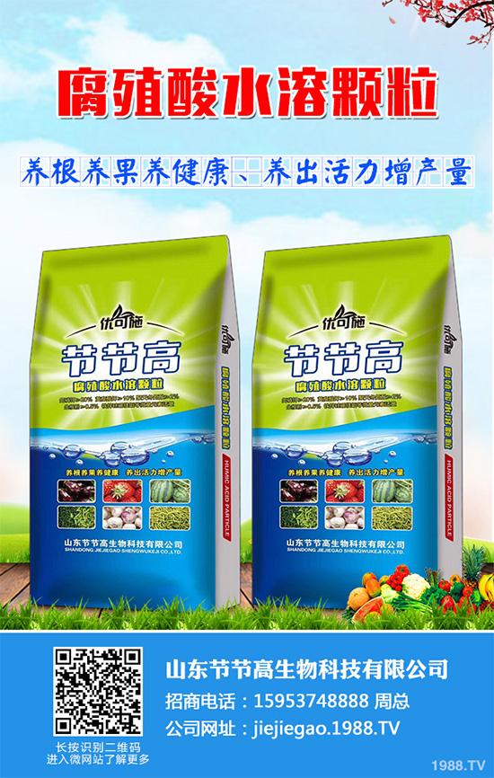 種植香菇前景如何？2020年香菇種植前景分析