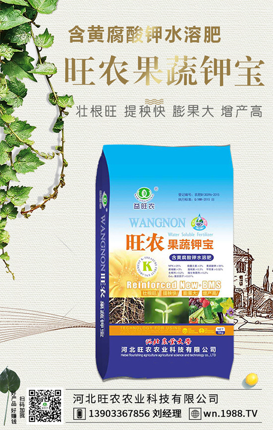 郁金香生長習性有哪些？郁金香養(yǎng)護要點！