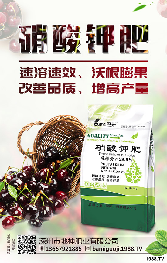 好吃的釋迦果要如何種植？釋迦果種植時間及方法！