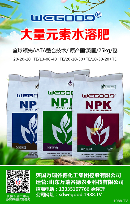 ¶������ʲô�r��Nֲ��¶�������߮a(ch��n)�Nֲ���g(sh��)