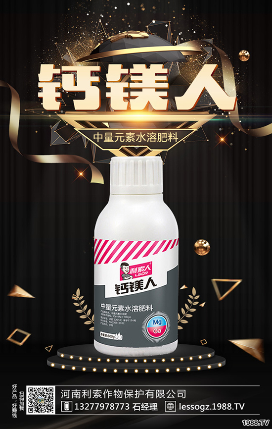 白菜價格多少錢一斤？白菜畝產(chǎn)多少斤？種植前景怎么樣？